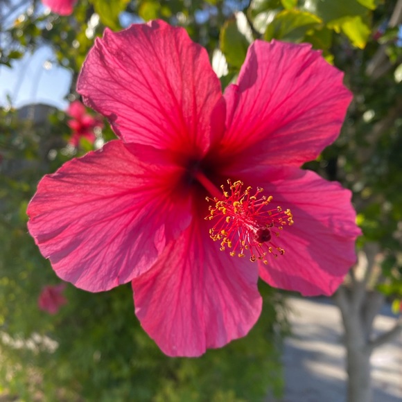 Meet your Posher, Rachel - Picture 1 of 2